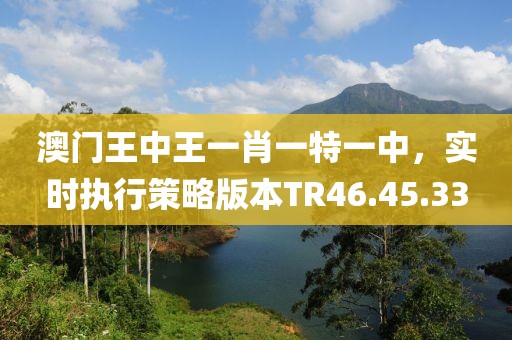 澳门王中王一肖一特一中，实时执行策略版本TR46.45.33