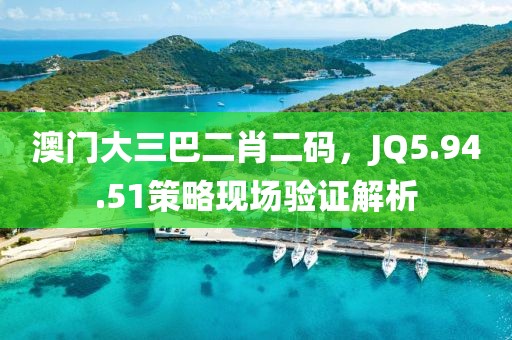 澳门大三巴二肖二码，JQ5.94.51策略现场验证解析