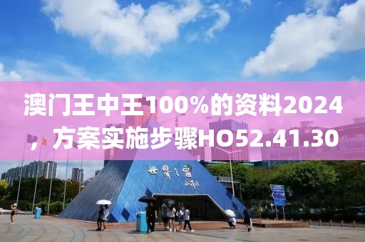 澳门王中王100%的资料2024，方案实施步骤HO52.41.30