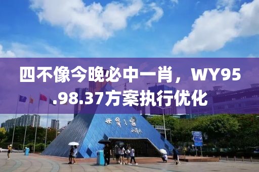 四不像今晚必中一肖，WY95.98.37方案执行优化
