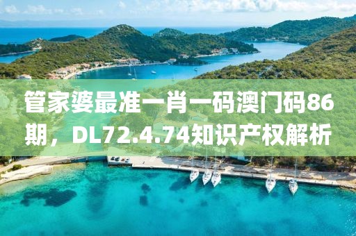 管家婆最准一肖一码澳门码86期，DL72.4.74知识产权解析
