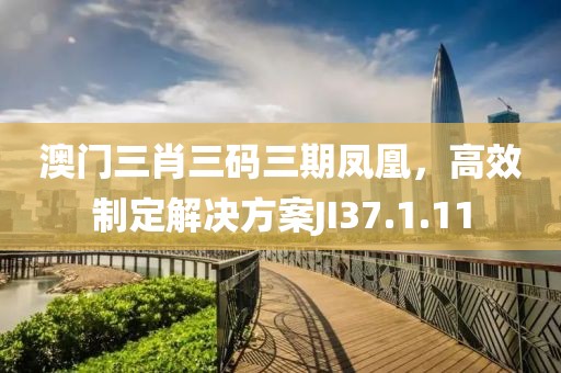 澳门三肖三码三期凤凰，高效制定解决方案JI37.1.11