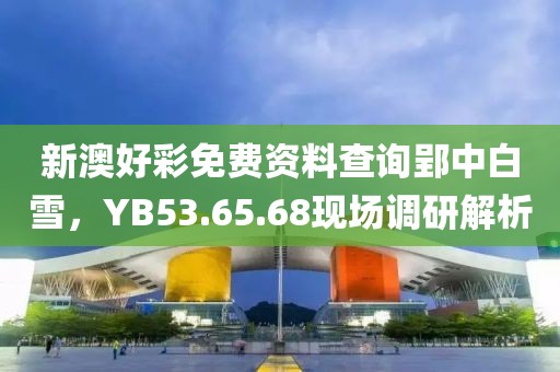 新澳好彩免费资料查询郢中白雪，YB53.65.68现场调研解析