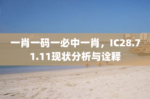一肖一码一必中一肖，IC28.71.11现状分析与诠释