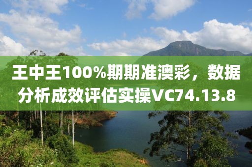 王中王100%期期准澳彩，数据分析成效评估实操VC74.13.8