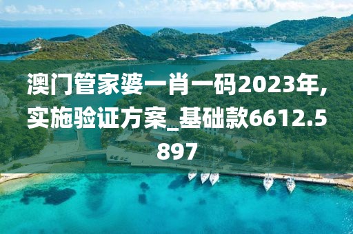 澳门管家婆一肖一码2023年,实施验证方案_基础款6612.5897