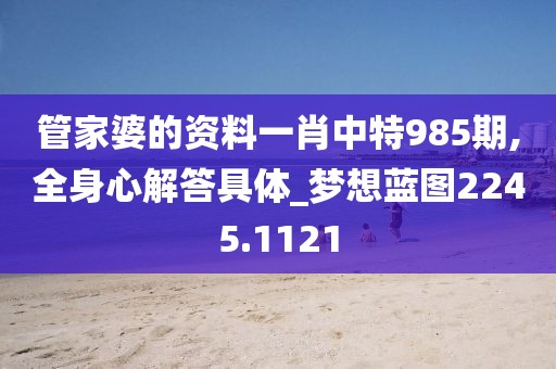 管家婆的资料一肖中特985期,全身心解答具体_梦想蓝图2245.1121