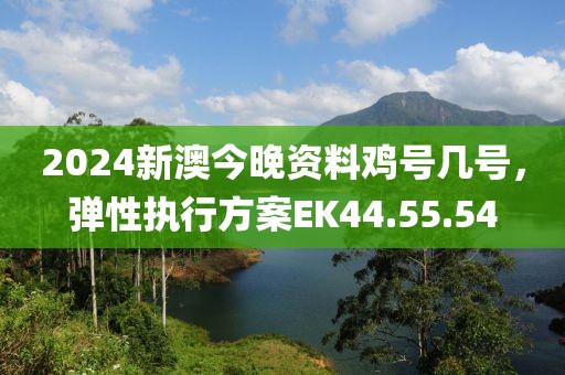 2024新澳今晚资料鸡号几号，弹性执行方案EK44.55.54