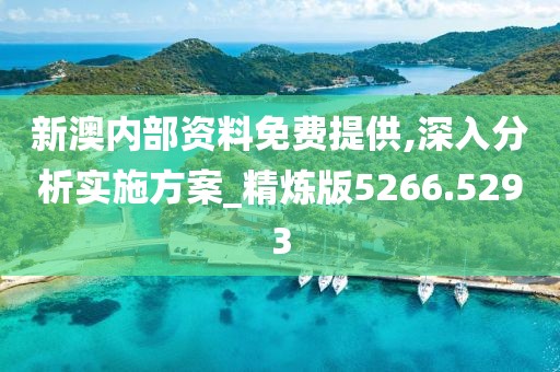 新澳内部资料免费提供,深入分析实施方案_精炼版5266.5293