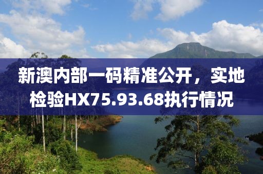 新澳内部一码精准公开，实地检验HX75.93.68执行情况