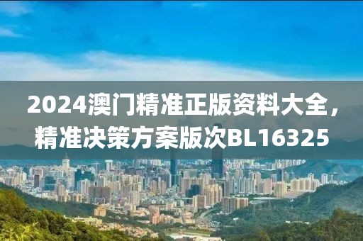2024澳门精准正版资料大全，精准决策方案版次BL16325