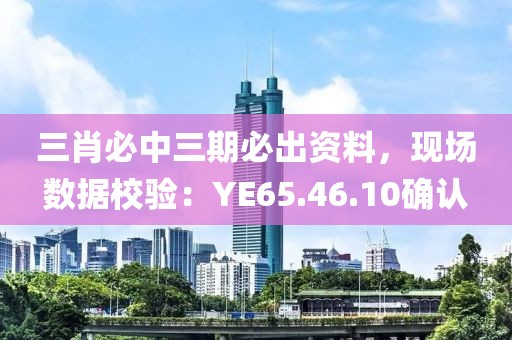 三肖必中三期必出资料，现场数据校验：YE65.46.10确认