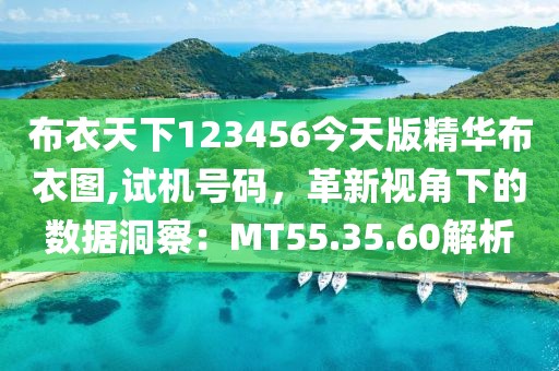 布衣天下123456今天版精华布衣图,试机号码，革新视角下的数据洞察：MT55.35.60解析