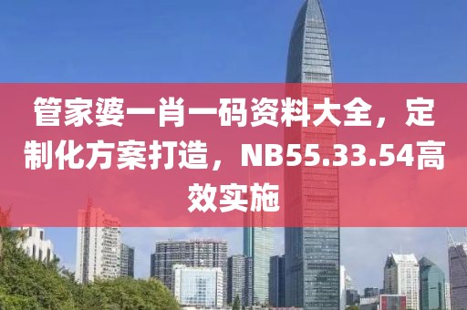 管家婆一肖一码资料大全，定制化方案打造，NB55.33.54高效实施