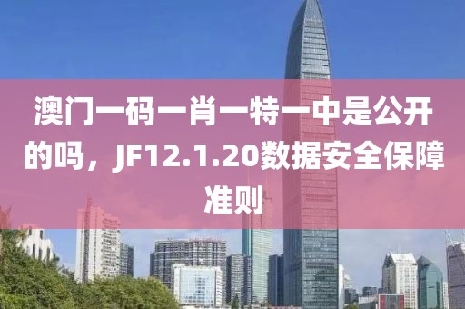 澳门一码一肖一特一中是公开的吗，JF12.1.20数据安全保障准则