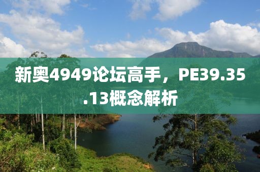 新奥4949论坛高手，PE39.35.13概念解析