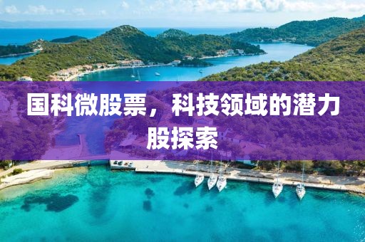 国科微股票，科技领域的潜力股探索