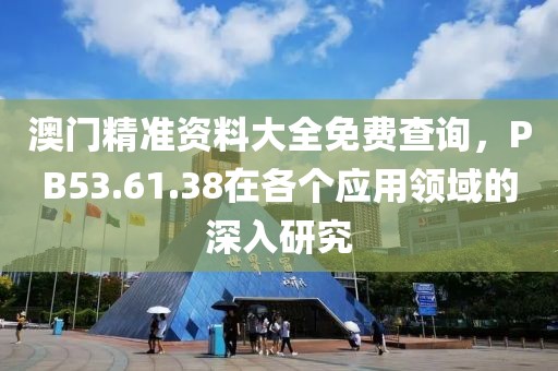 澳门精准资料大全免费查询，PB53.61.38在各个应用领域的深入研究