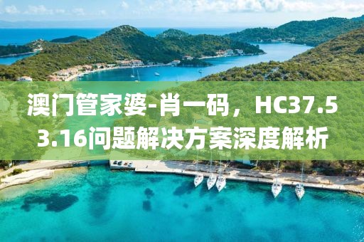 澳门管家婆-肖一码，HC37.53.16问题解决方案深度解析