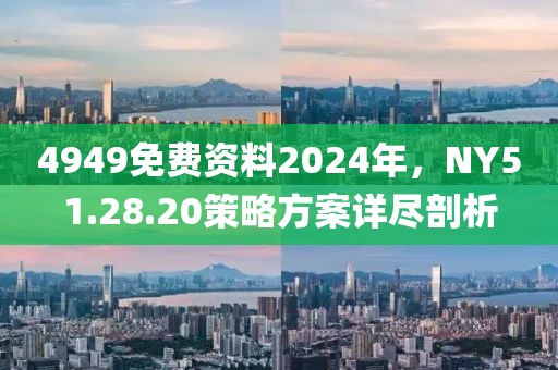 4949免费资料2024年，NY51.28.20策略方案详尽剖析