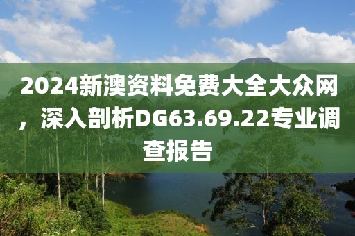 2024新澳资料免费大全大众网，深入剖析DG63.69.22专业调查报告