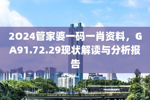 2O24管家婆一码一肖资料，GA91.72.29现状解读与分析报告