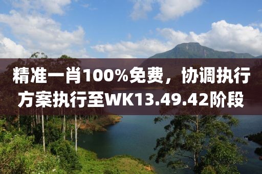 精准一肖100%免费，协调执行方案执行至WK13.49.42阶段