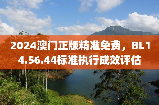 2024澳门正版精准免费，BL14.56.44标准执行成效评估