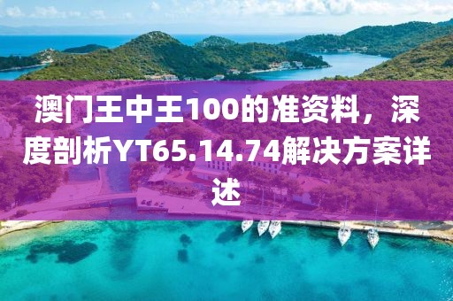澳门王中王100的准资料，深度剖析YT65.14.74解决方案详述