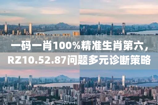 一码一肖100%精准生肖第六，RZ10.52.87问题多元诊断策略