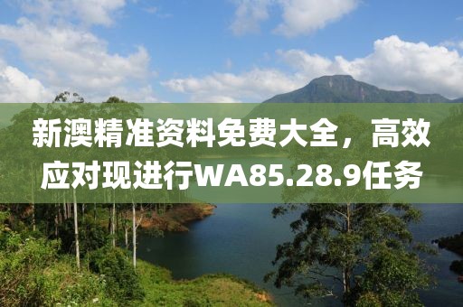 新澳精准资料免费大全，高效应对现进行WA85.28.9任务