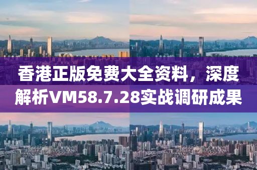 香港正版免费大全资料，深度解析VM58.7.28实战调研成果