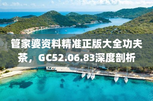 管家婆资料精准正版大全功夫茶，GC52.06.83深度剖析