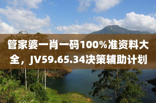 管家婆一肖一码100%准资料大全，JV59.65.34决策辅助计划