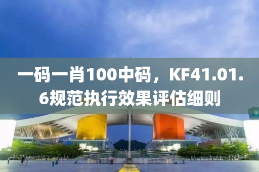一码一肖100中码，KF41.01.6规范执行效果评估细则