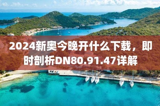 2024新奥今晚开什么下载，即时剖析DN80.91.47详解