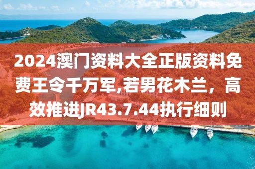 2024澳门资料大全正版资料免费王令千万军,若男花木兰，高效推进JR43.7.44执行细则