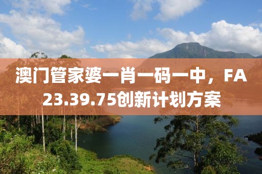 澳门管家婆一肖一码一中，FA23.39.75创新计划方案