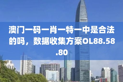 澳门一码一肖一特一中是合法的吗，数据收集方案OL88.58.80