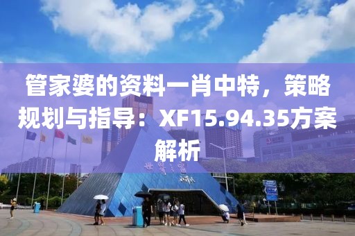 管家婆的资料一肖中特，策略规划与指导：XF15.94.35方案解析