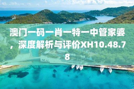 澳门一码一肖一特一中管家婆，深度解析与评价XH10.48.78