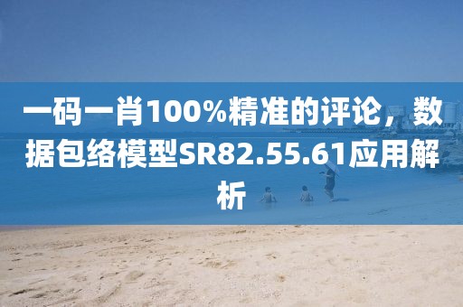 一码一肖100%精准的评论，数据包络模型SR82.55.61应用解析