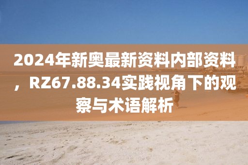 2024年新奥最新资料内部资料，RZ67.88.34实践视角下的观察与术语解析