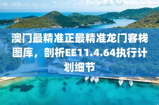 澳门最精准正最精准龙门客栈图库，剖析EE11.4.64执行计划细节