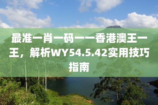 最准一肖一码一一香港澳王一王，解析WY54.5.42实用技巧指南