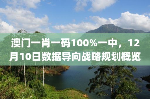 澳门一肖一码100%一中，12月10日数据导向战略规划概览