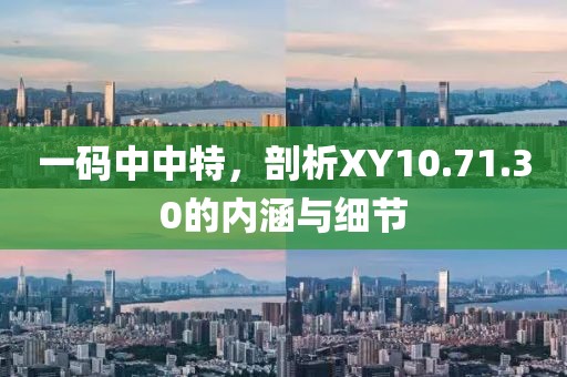 一码中中特，剖析XY10.71.30的内涵与细节