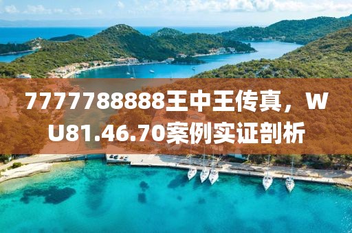 7777788888王中王传真，WU81.46.70案例实证剖析