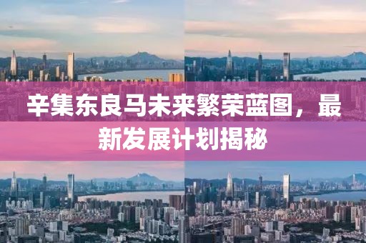 辛集东良马未来繁荣蓝图，最新发展计划揭秘