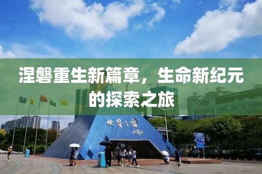 涅磐重生新篇章，生命新纪元的探索之旅